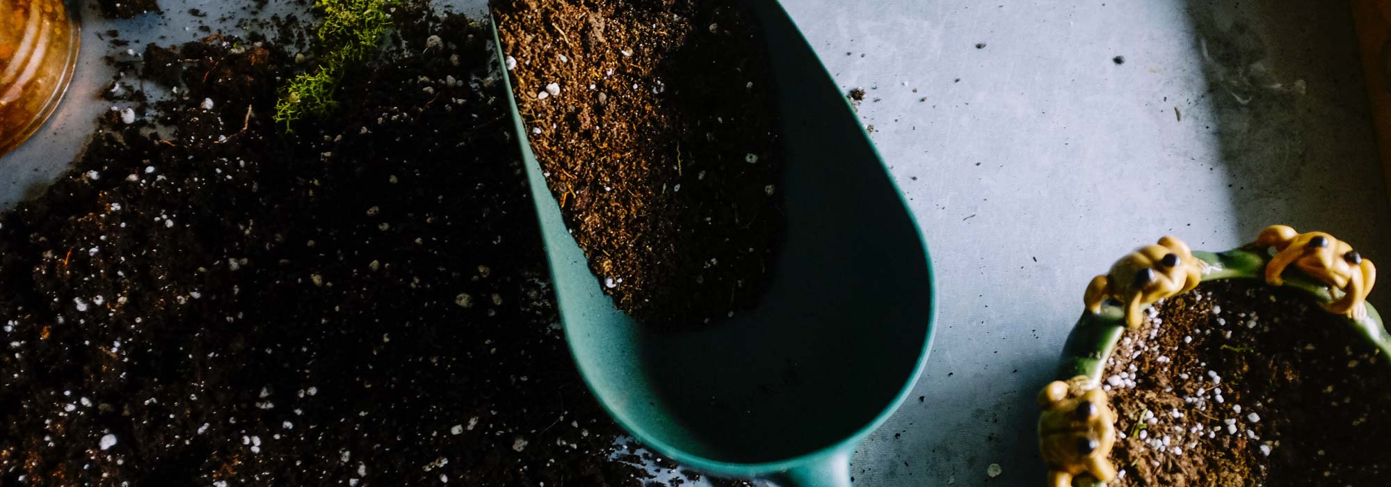 Fertilizer in soil