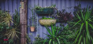 wall mounted garden planters