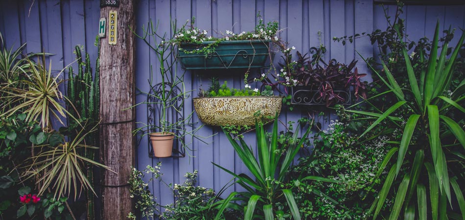 wall mounted garden planters